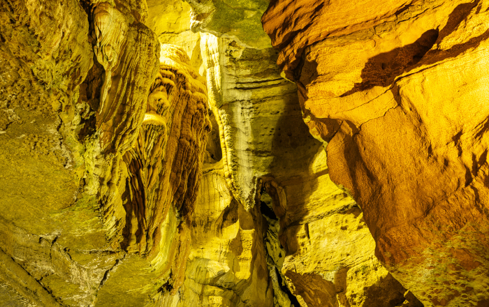 SIS · Temporada 2023