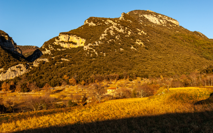 Orientació al Bassegoda