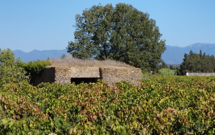 Memòria històrica i tast de vins i olis a Garriguella