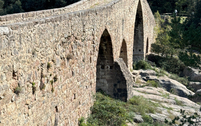 Patrimoni històric i industrial, entre boscos i conreus, al voltant d’un tram del riu Llobregat.