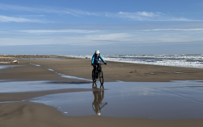 El Delta de l’Ebre, un paradís natural en perill