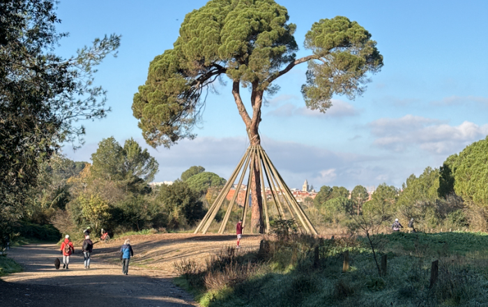 St. Medir i Pi del Xandri des de Sta. Maria de Montcada