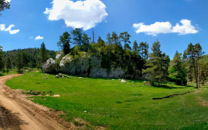 Ruta botànica per la serra del Catllaràs