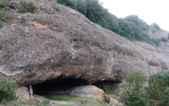 Fem el Tió als entorns de la Mola