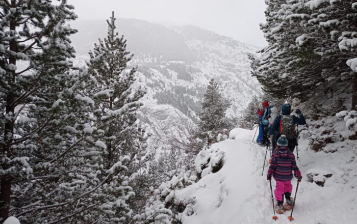 Raquetes de neu a Tuixent