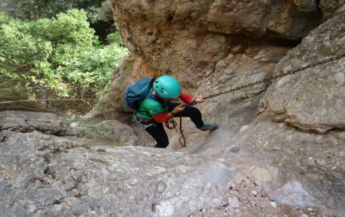 Cicle de Canals de Montserrat