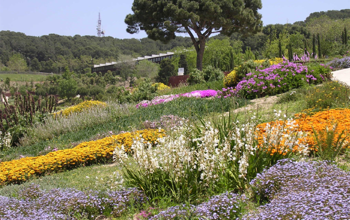 Jardins botànics de Montjuïc
