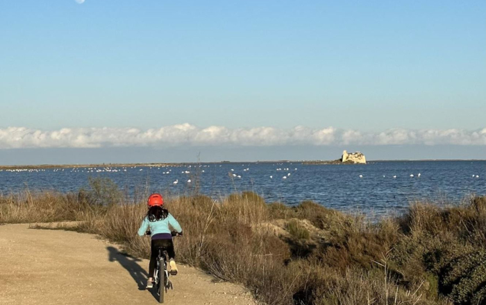 Explorem el Delta de l’Ebre amb caiac i amb bicicleta