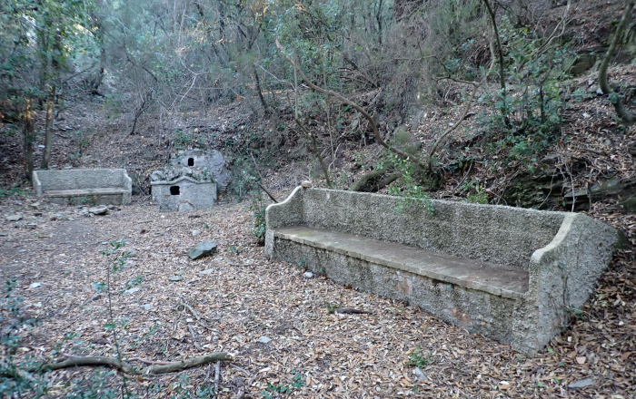 5 Fonts de La Pineda i de Can Font de Gaià (amb Prodis)